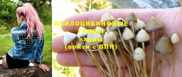 гашик Аркадак