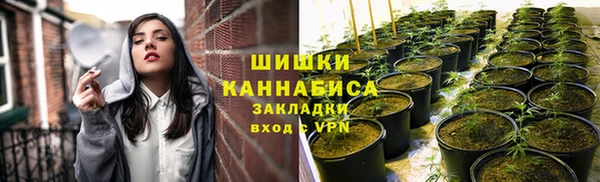 гашик Аркадак