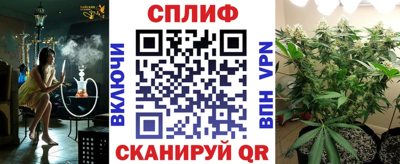 дарнет шоп  Баймак  Бошки марихуана сатива 